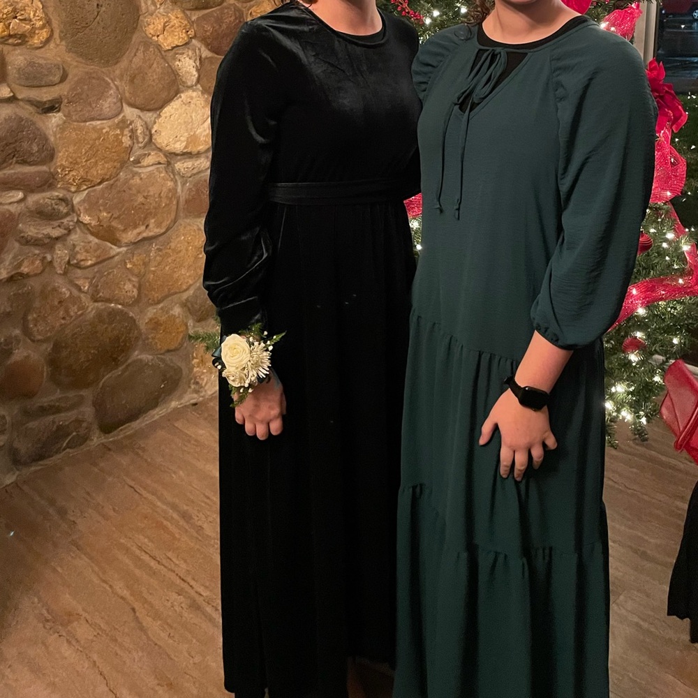 Dark Green Velvet Dress - Picture 9 of 10